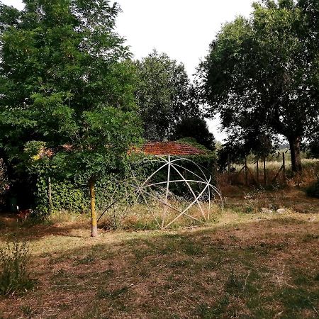 Penzion Da Pino Montemerano Exteriér fotografie