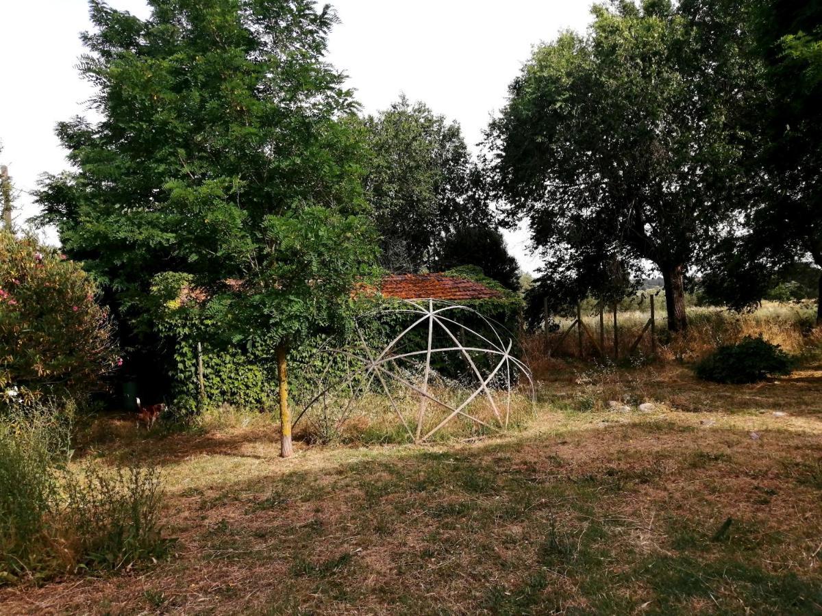 Penzion Da Pino Montemerano Exteriér fotografie