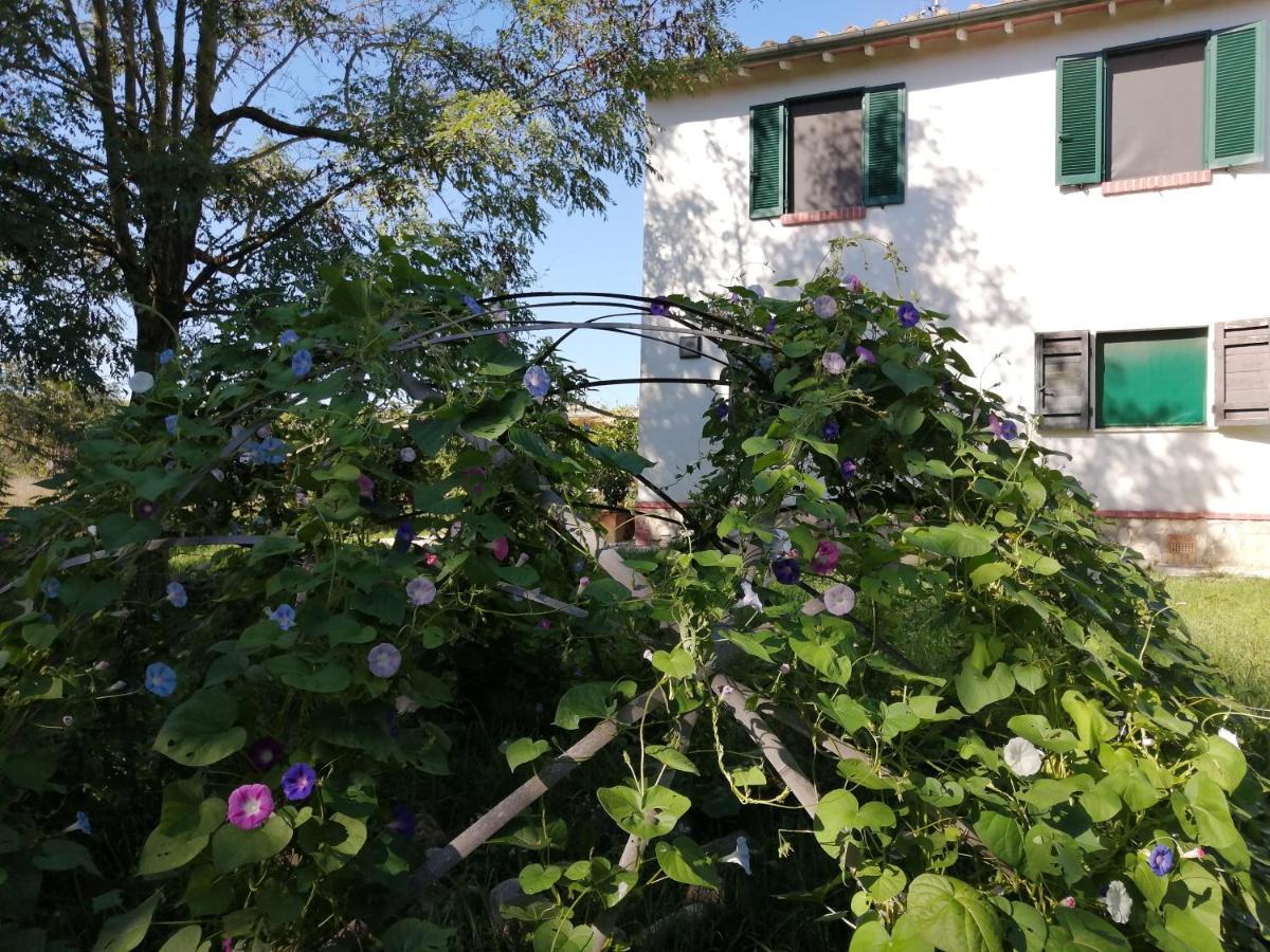 Penzion Da Pino Montemerano Exteriér fotografie