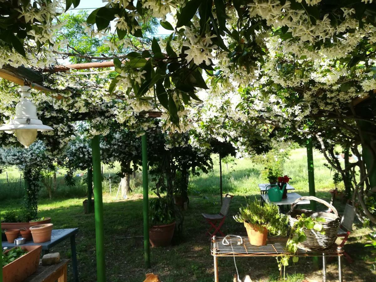 Penzion Da Pino Montemerano Exteriér fotografie